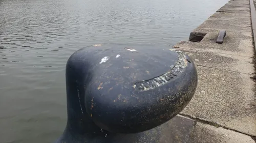 Voile : Caen va accueillir le grand départ de la Solitaire du Figaro