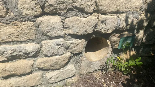 [PODCAST] : des routes pour hérissons en Normandie