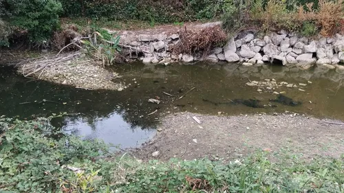La sécheresse a eu de grosses conséquences dans les marais de Bourges
