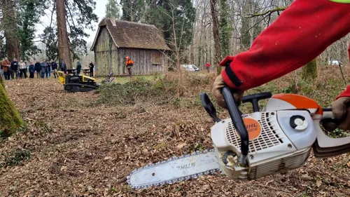 Sologne : le débroussaillement pour limiter la propagation des feux