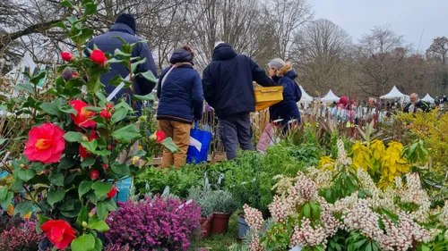 Cheverny, comme un avant-goût des beaux jours... malgré le froid !