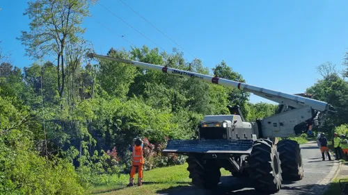 Une alimentation fraîche et locale pour les animaux de Beauval