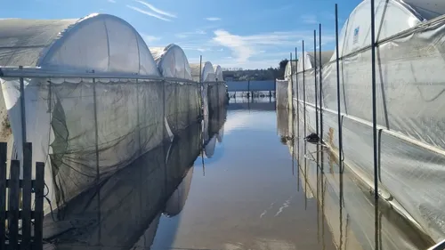 Après le feu, l’eau : la pépinière Simier replonge dans la tourmente