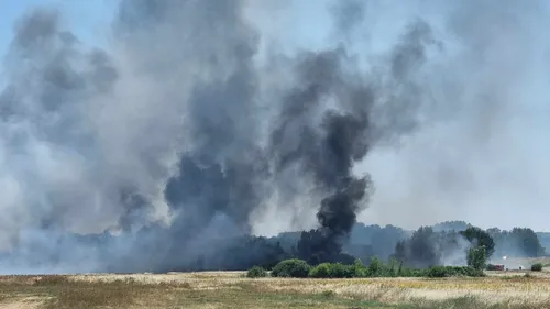 Plusieurs hectares brûlés au sud de Blois