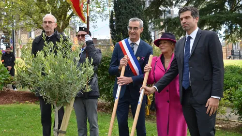 Bihorel : un olivier planté en hommage à Ilan Halimi 