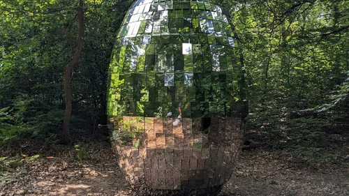"Forêt monumentale" : la deuxième édition débute ce week-end