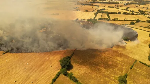 Cher : un feu de culture détruit plusieurs hectares, 44 habitants...