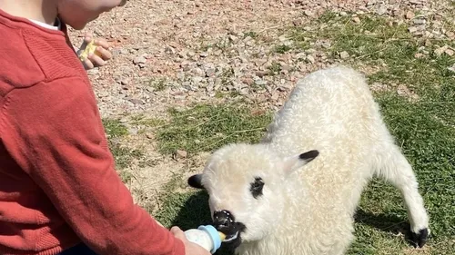 Un marché de producteurs à Alençon le 23 mars