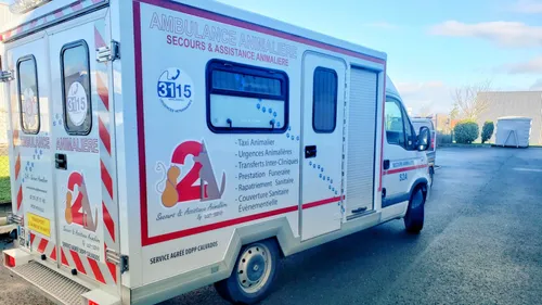 Un "SAMU des animaux" en Normandie