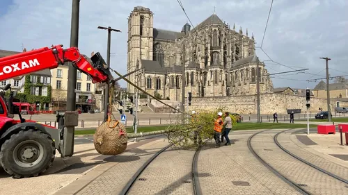 Le Mans : une touche de vert supplémentaire pour la place des...