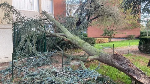 Tempête Ciaran : 30 000 foyers privés d'électricité dans l'Eure