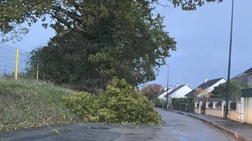 Tempête Ciaran : plus de 80 interventions des pompiers en Mayenne