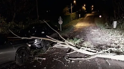 Tempête Ciaran : 580 appels aux pompiers du Calvados