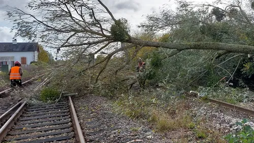 En Pays-de-la-Loire, plus de suppressions et moins de ponctualité...