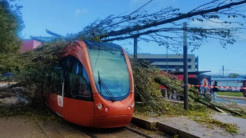 Tempête Ciaran : au Mans, un arbre tombe sur le tram