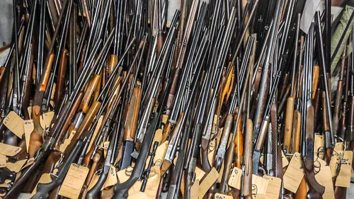 Abandon d'armes : un véritable arsenal collecté en Normandie