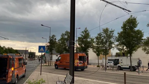 Câble arraché : les trams du Mans paralysés