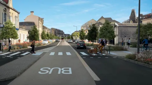 Le Mans : un rassemblement contre l’abattage des arbres de l’avenue...