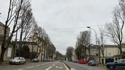 Abattage des arbres : Véronique Rivron et Olivier Sasso appellent à...