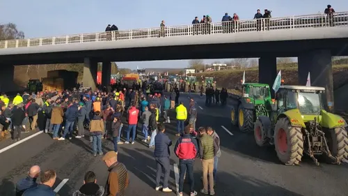 Blocage de l'A10 : des agriculteurs Percherons dans l'action