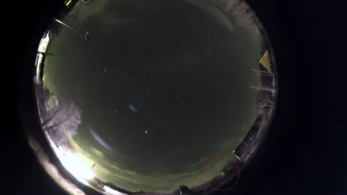 Pluie d’étoiles filantes : un "bolide" aperçu dans l’ouest