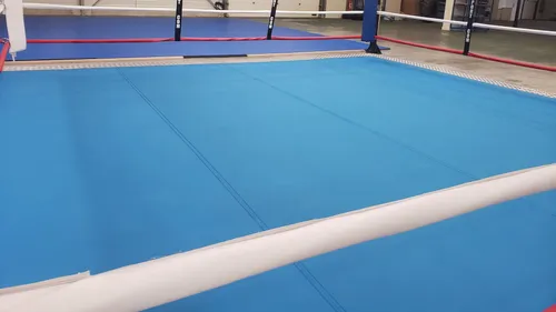 Boxe : aller à l'étranger pour enfin combattre ?