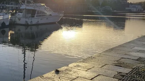 A Caen, un jeune Afghan se noie près du port