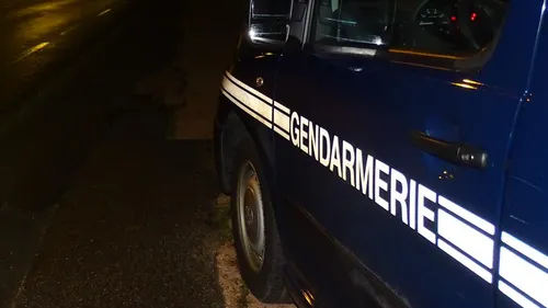 Saint-Michel-de-Chavaignes : pris en flagrant délit d'arrachage de...