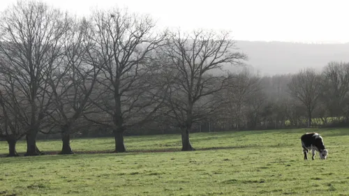 Entrepôt Amazon ou autre, c'est non : à Connerré, les voisins de...