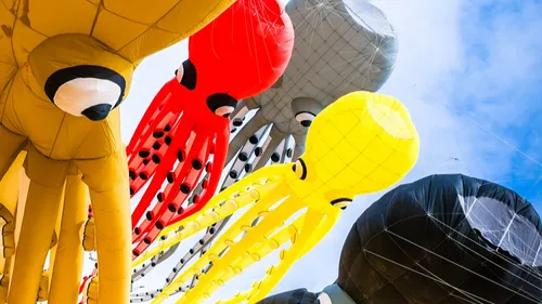 Nos cinq idées sorties du week-end dans le Calvados