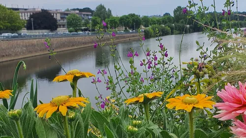Château-Gontier renouvelle ses quatre fleurs
