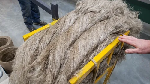 [Podcast] Lancement de la filière chanvre en Normandie