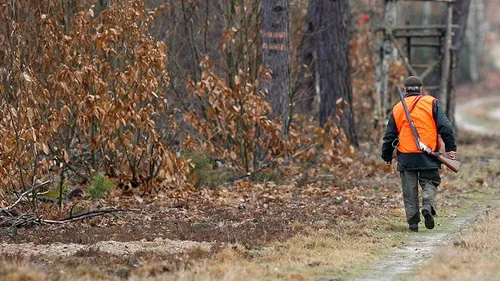 Verrières : un quadragénaire tué lors d'une partie de chasse