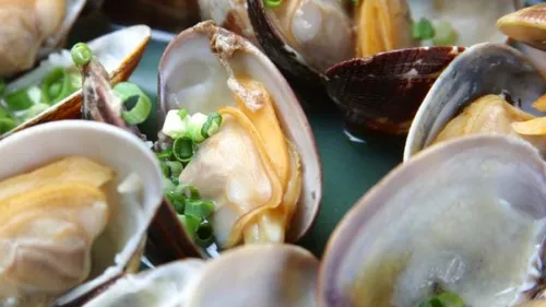 Dans le pays de Craon, les coquillages de nos repas festifs se...