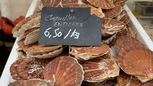 La coquille Saint-Jacques, reine du week-end à Villers-sur-Mer