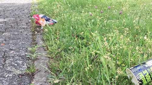 A Carbon-Blanc, les marcheurs se joignent au "World cleanup day"