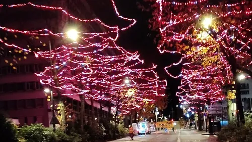 Illuminations de Noël : premier aperçu en centre-ville du Mans