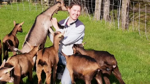 Terre d'Auge : le circuit court s'invite dans les assiettes