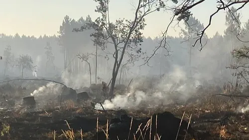 Incendies en Gironde : la hausse des températures n'incite pas à...