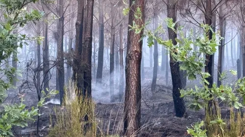 Incendie en Gironde : bilan stable, mais "la situation reste...