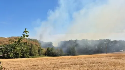 Saint-Rémy-du-Val : douze hectares partent en fumée