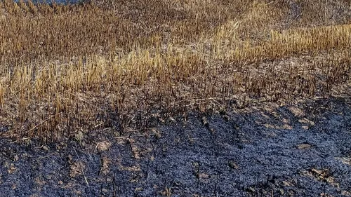 Plus de 45 hectares partent en fumée dans le Calvados