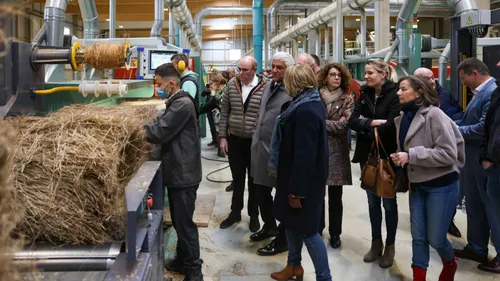 Vers une filière complète du chanvre textile en Normandie ?