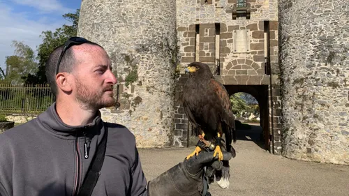Des buses pour lutter contre la prolifération des pigeons à...
