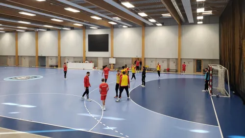 Handball : "Sélestat, une des équipes les plus en forme" juge...