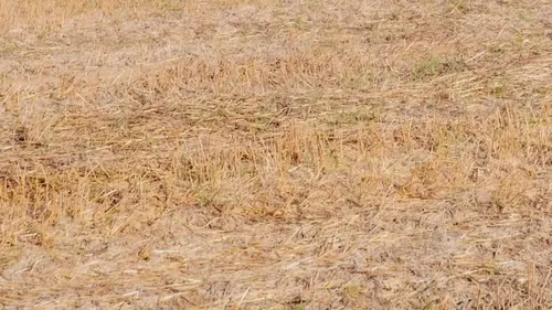 Sécheresse : la Mayenne presque entièrement en "alerte"