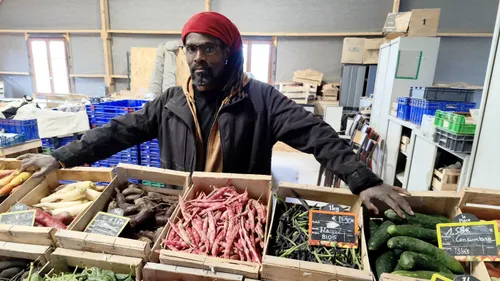 Ary, un ami qui vous vend du bio