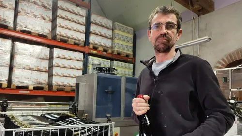 Touraine : le vin primeur en quête de rebond