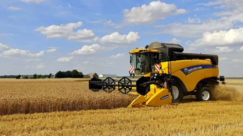 Des moissons 2024 plus que décevantes en Beauce