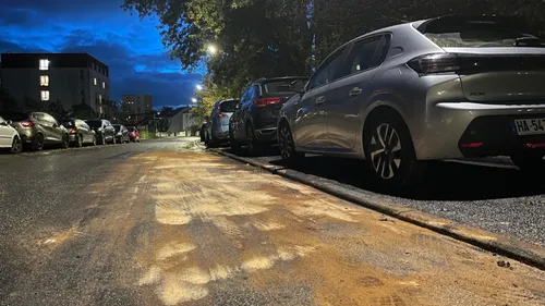 Six voitures brûlées en moins de 30 minutes cette nuit au Mans